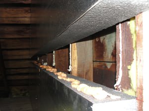 An effective attic insulation system in a Cuyahoga Falls home