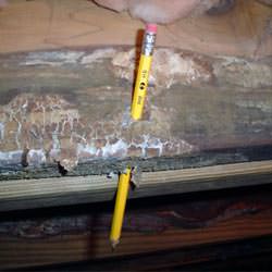 A floor joist with severe mold damage in North Canton
