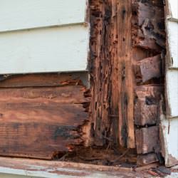 termite damaged wood in a Medina crawl space