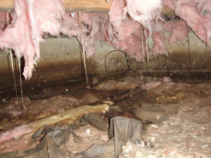 Fiberglass Insulation